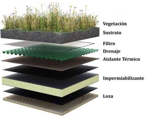 Capas de un techo verde residencial