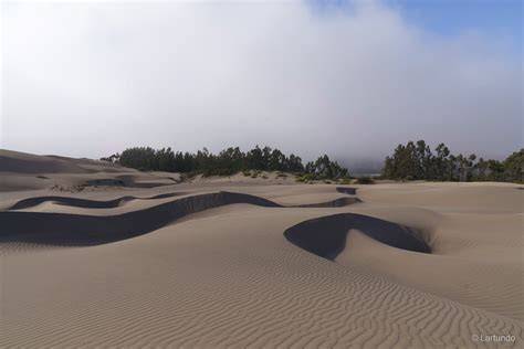Humedal Salinas de Pullally Dunas Longotoma