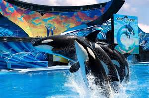 Historia y ubicación de SeaWorld Orlando