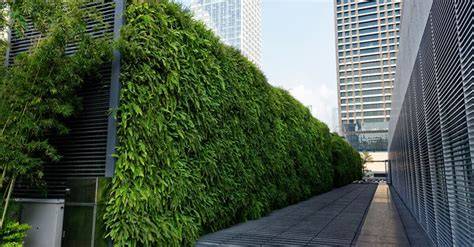muro vegetal con arbustos junto a reja