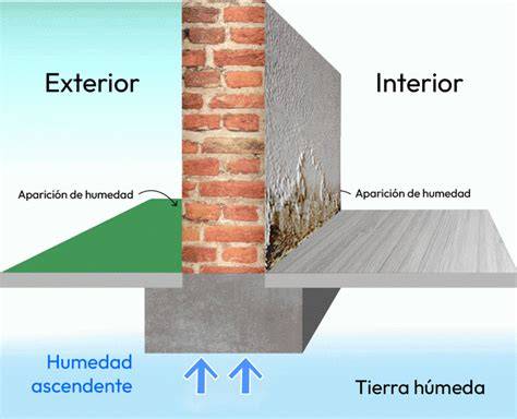 muro de hormigón protegido contra humedad