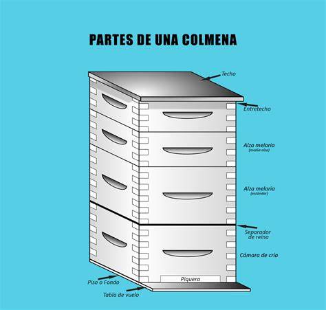 Diagrama de organización de una colmena