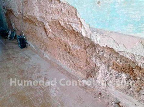 daños por humedad en muro de ladrillo