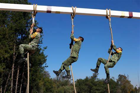Entrenamiento militar de comandos en terreno