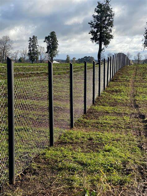 Cierre perimetral con malla galvanizada