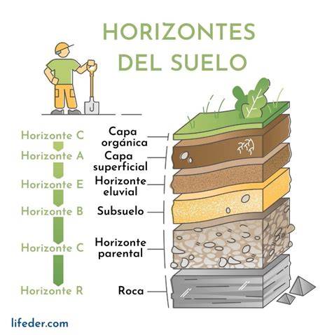 perfil del suelo y horizontes