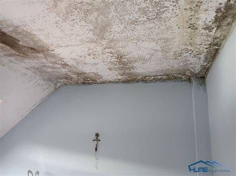 reparación de cielorraso de baño con humedad