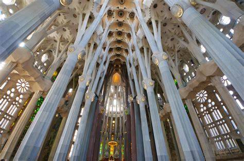 Interior boscoso de la Sagrada Familia
