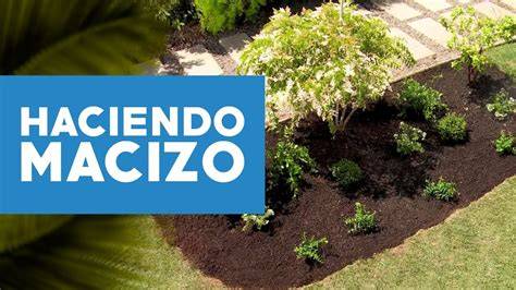 macizo de plantas junto a pandereta pintada